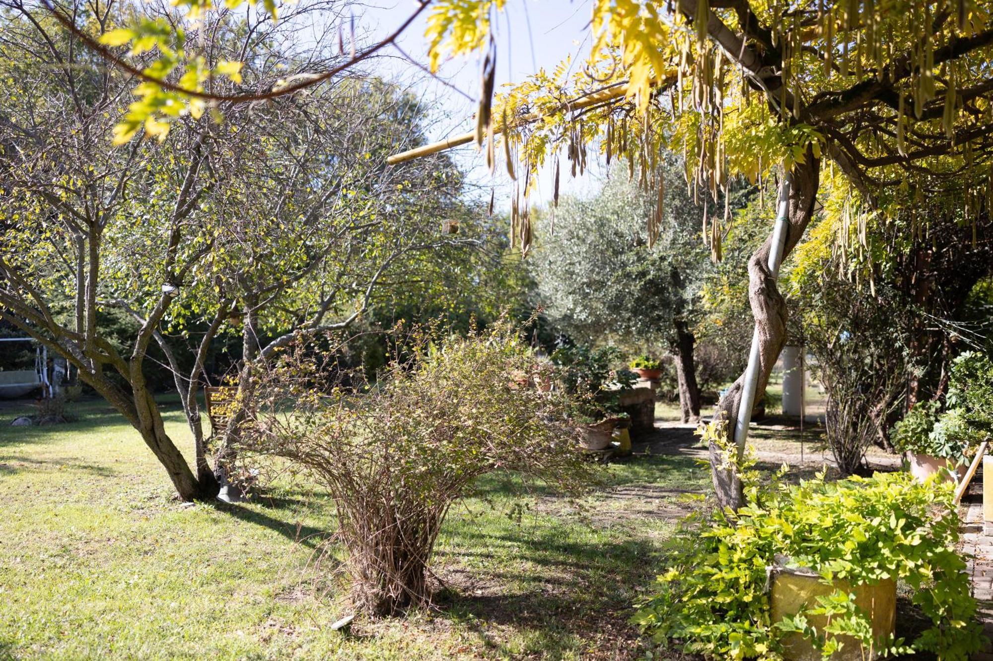 Locanda Acetaia Malagoli Daniele Castelfranco Emilia Eksteriør billede