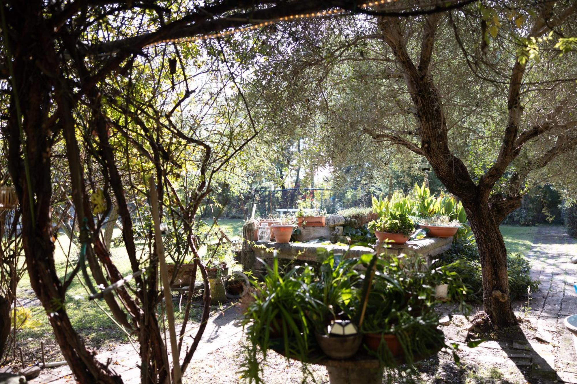 Locanda Acetaia Malagoli Daniele Castelfranco Emilia Eksteriør billede