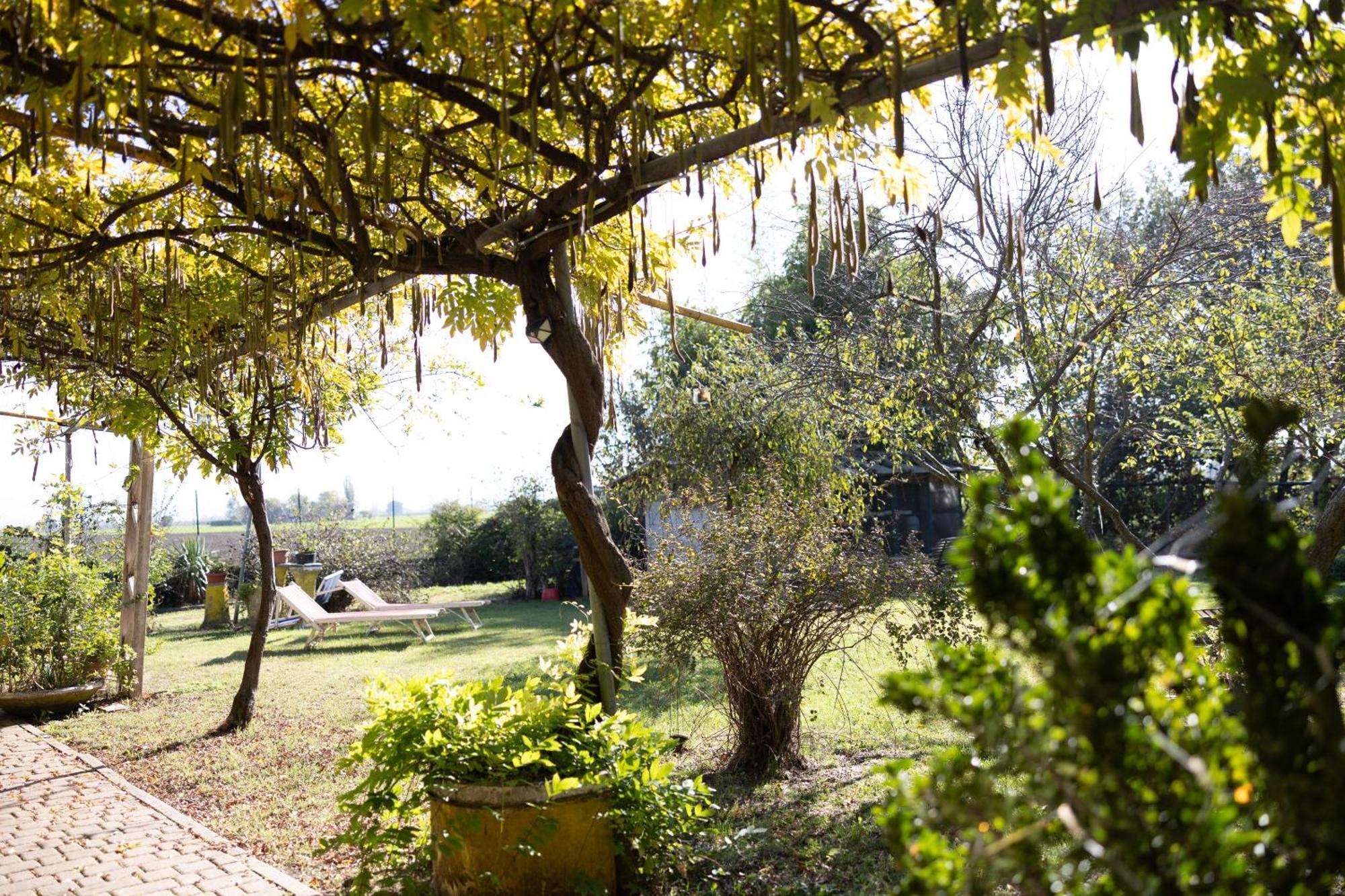 Locanda Acetaia Malagoli Daniele Castelfranco Emilia Eksteriør billede